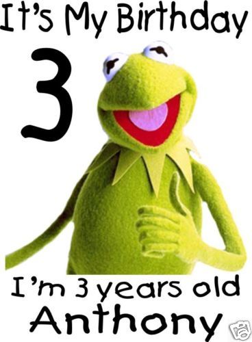 Kermit The Frog Sesame Street Birthday Boy Girl T Shirt  