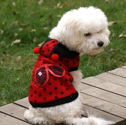 Cute Pet Dog Cat Red Ladybug Dress Up Coat Clothes XS/S/M  